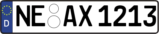 NE-AX1213