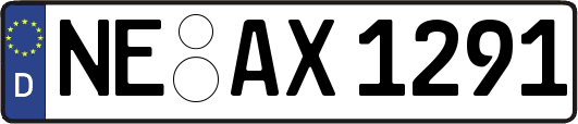 NE-AX1291