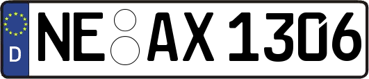 NE-AX1306