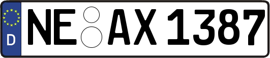 NE-AX1387