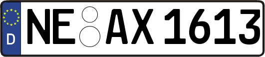 NE-AX1613