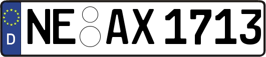 NE-AX1713