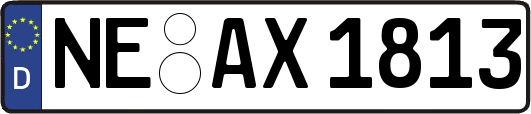 NE-AX1813