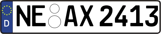 NE-AX2413