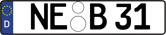 NE-B31