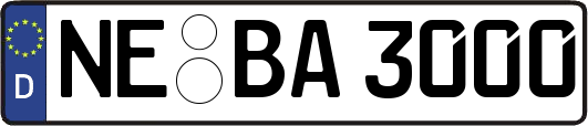 NE-BA3000