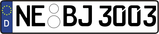 NE-BJ3003
