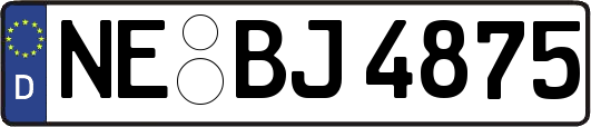 NE-BJ4875