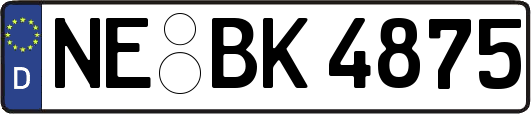 NE-BK4875