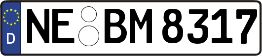NE-BM8317