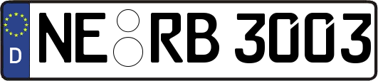NE-RB3003
