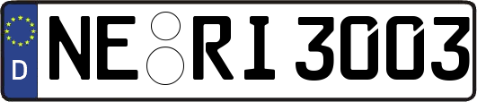 NE-RI3003