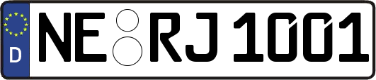 NE-RJ1001