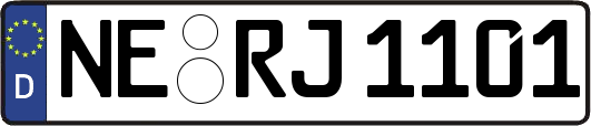 NE-RJ1101