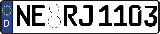 NE-RJ1103