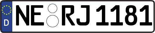 NE-RJ1181