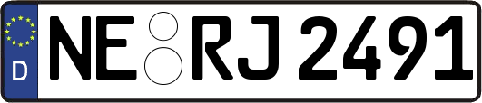 NE-RJ2491
