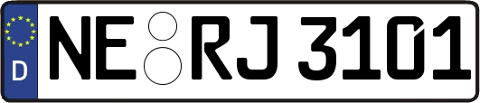 NE-RJ3101