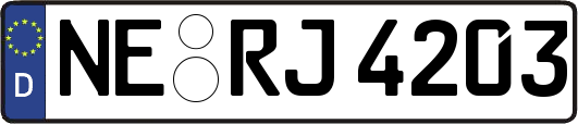 NE-RJ4203
