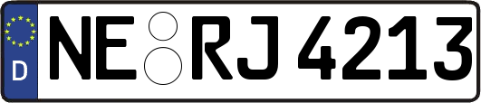 NE-RJ4213