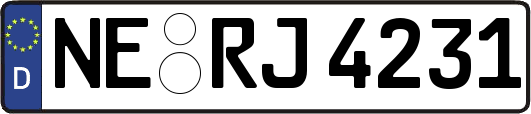 NE-RJ4231