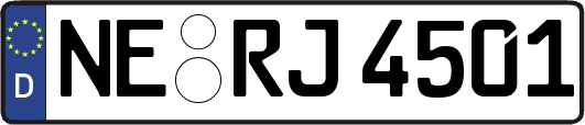 NE-RJ4501