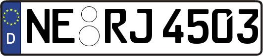 NE-RJ4503