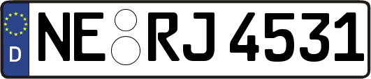NE-RJ4531