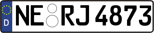 NE-RJ4873