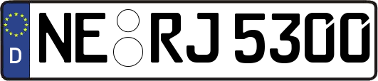 NE-RJ5300