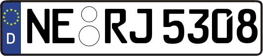 NE-RJ5308