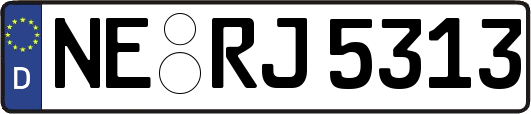 NE-RJ5313