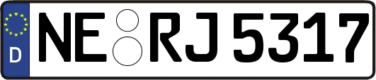 NE-RJ5317