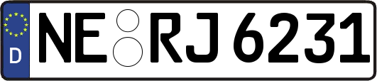 NE-RJ6231