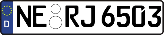 NE-RJ6503