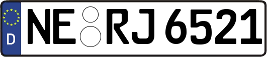 NE-RJ6521
