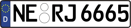 NE-RJ6665