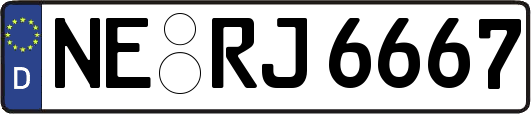 NE-RJ6667