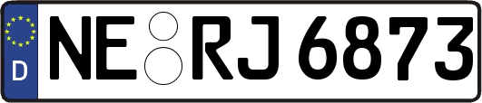 NE-RJ6873