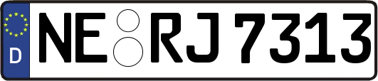 NE-RJ7313