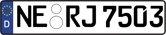 NE-RJ7503