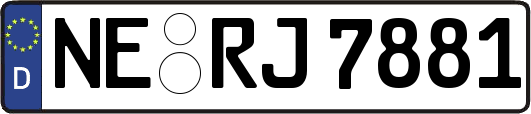 NE-RJ7881