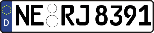 NE-RJ8391