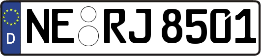 NE-RJ8501