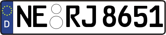 NE-RJ8651
