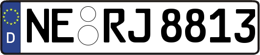 NE-RJ8813