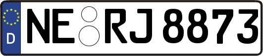 NE-RJ8873