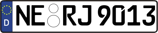 NE-RJ9013
