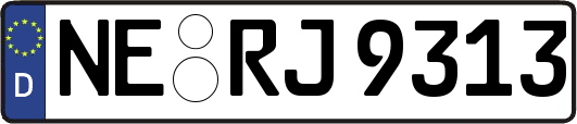 NE-RJ9313