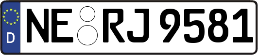 NE-RJ9581